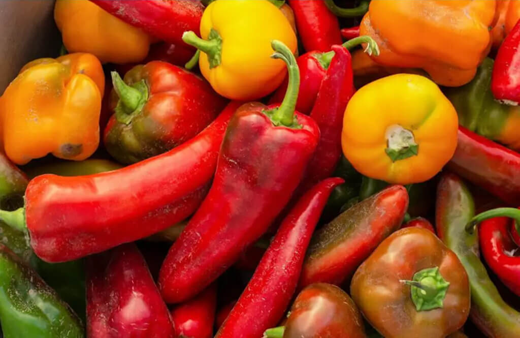 Fresh farm produce in Salem Missouri Images