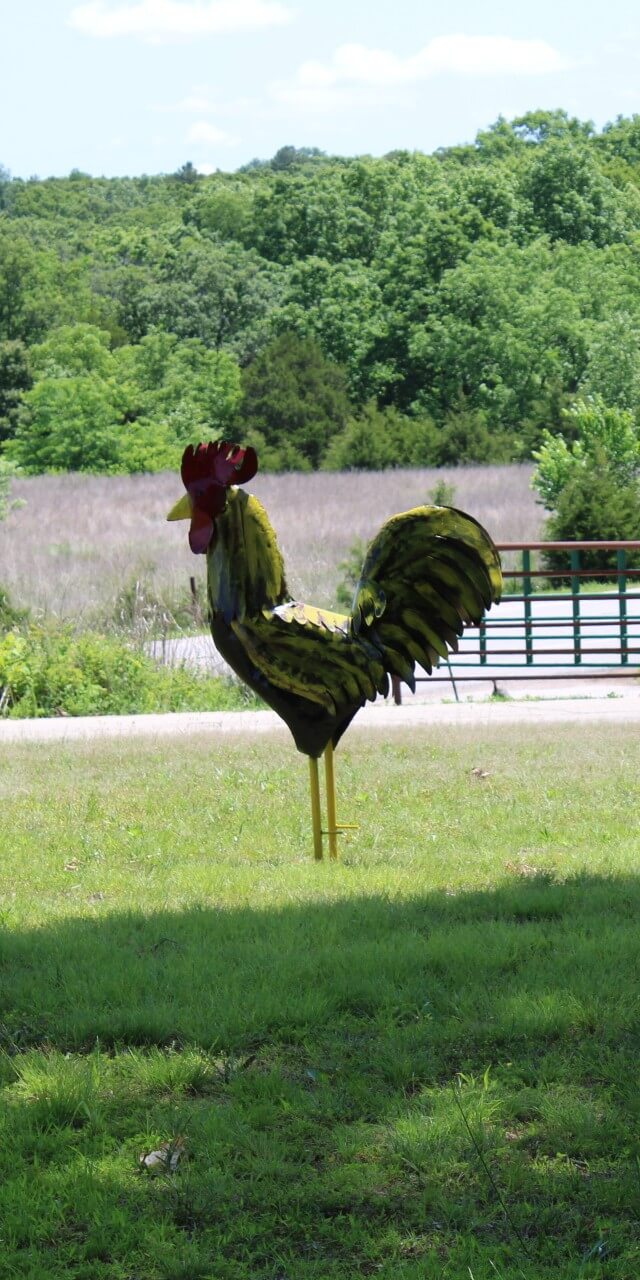 Fresh farm produce in Salem Missouri Images