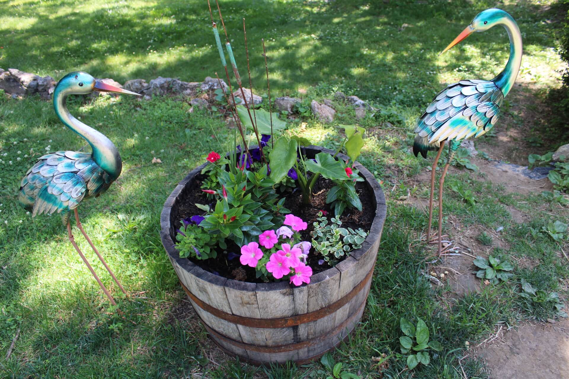 Fresh farm produce in Salem Missouri Images