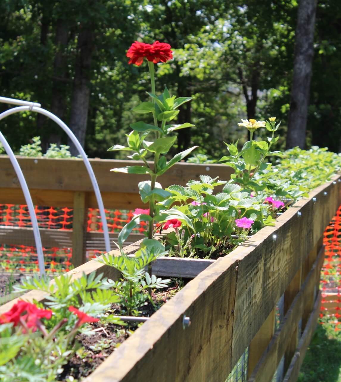 Fresh farm produce in Salem Missouri Images