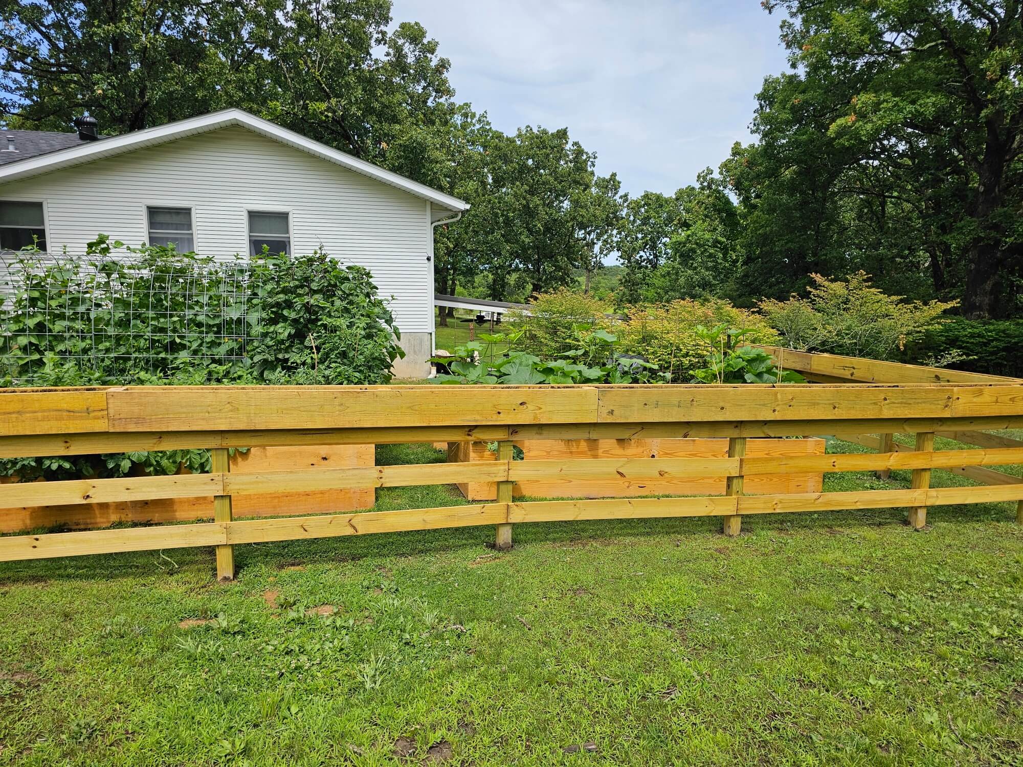 Fresh farm produce in Salem Missouri Images
