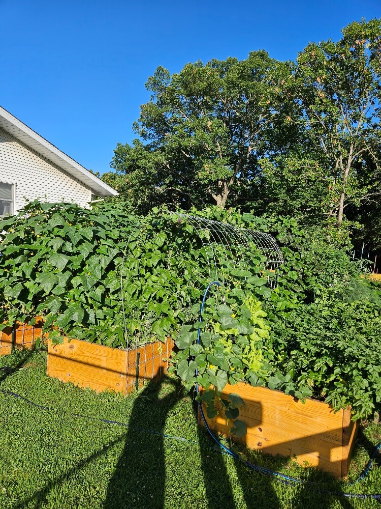 Fresh farm produce in Salem Missouri Images