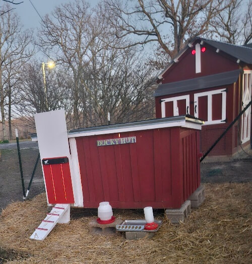 Fresh farm produce in Salem Missouri Images